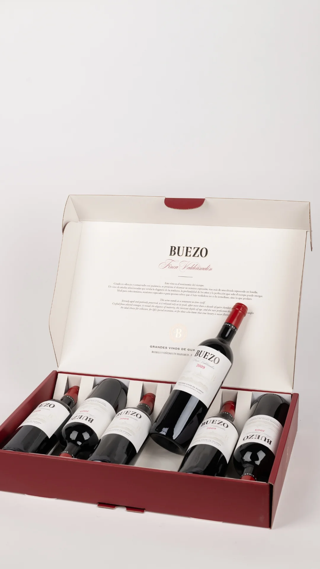 Buezo 2009 - Imagen 2