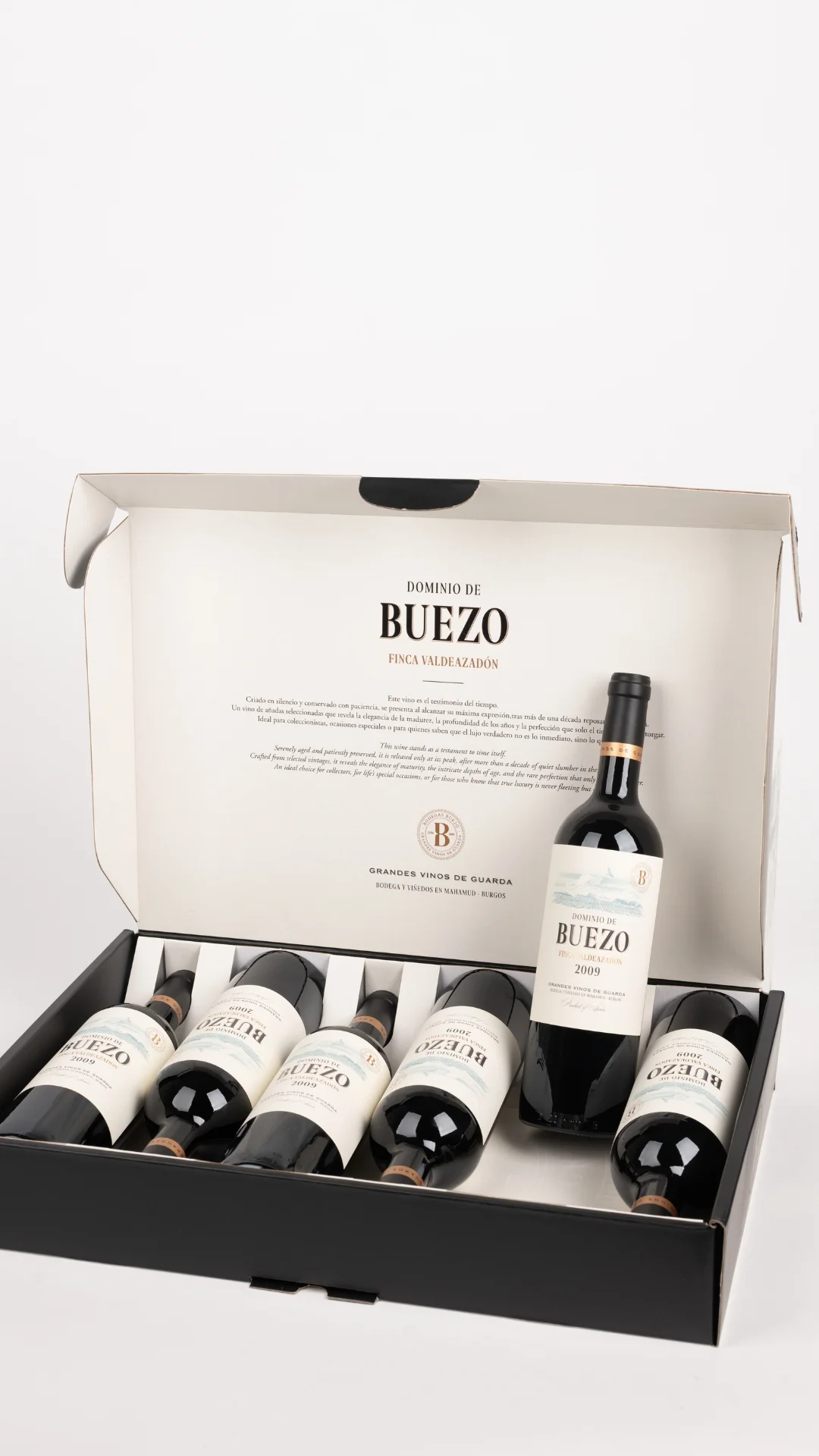 Dominio Buezo 2009 - Imagen 2